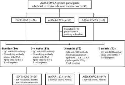 Humoral and cellular immunogenicity of homologous and heterologous booster vaccination in Ad26.COV2.S-primed individuals: Comparison by breakthrough infection